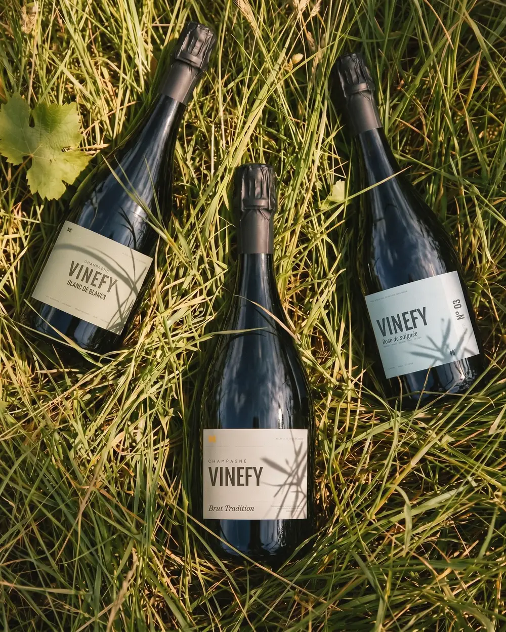 Trois bouteilles de Champagne Vinefy couchées dans l'herbe haute